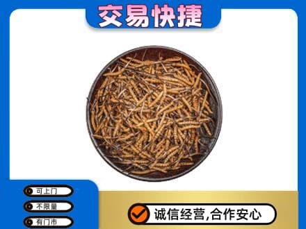 山南市桑日县高价回收散虫草